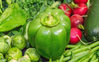 Paprika, Radieschen, Bohnen, Rosenkohl